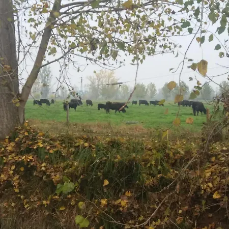 Cascina Pezzolo * Lodi
